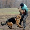 Охрана и защита